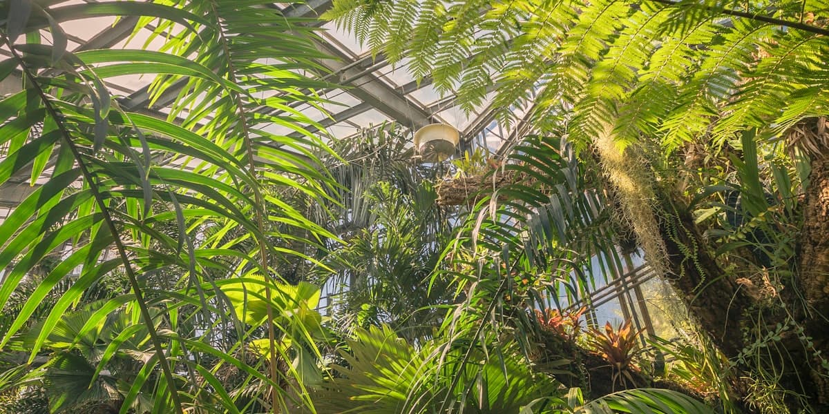 The Planet's Life Support